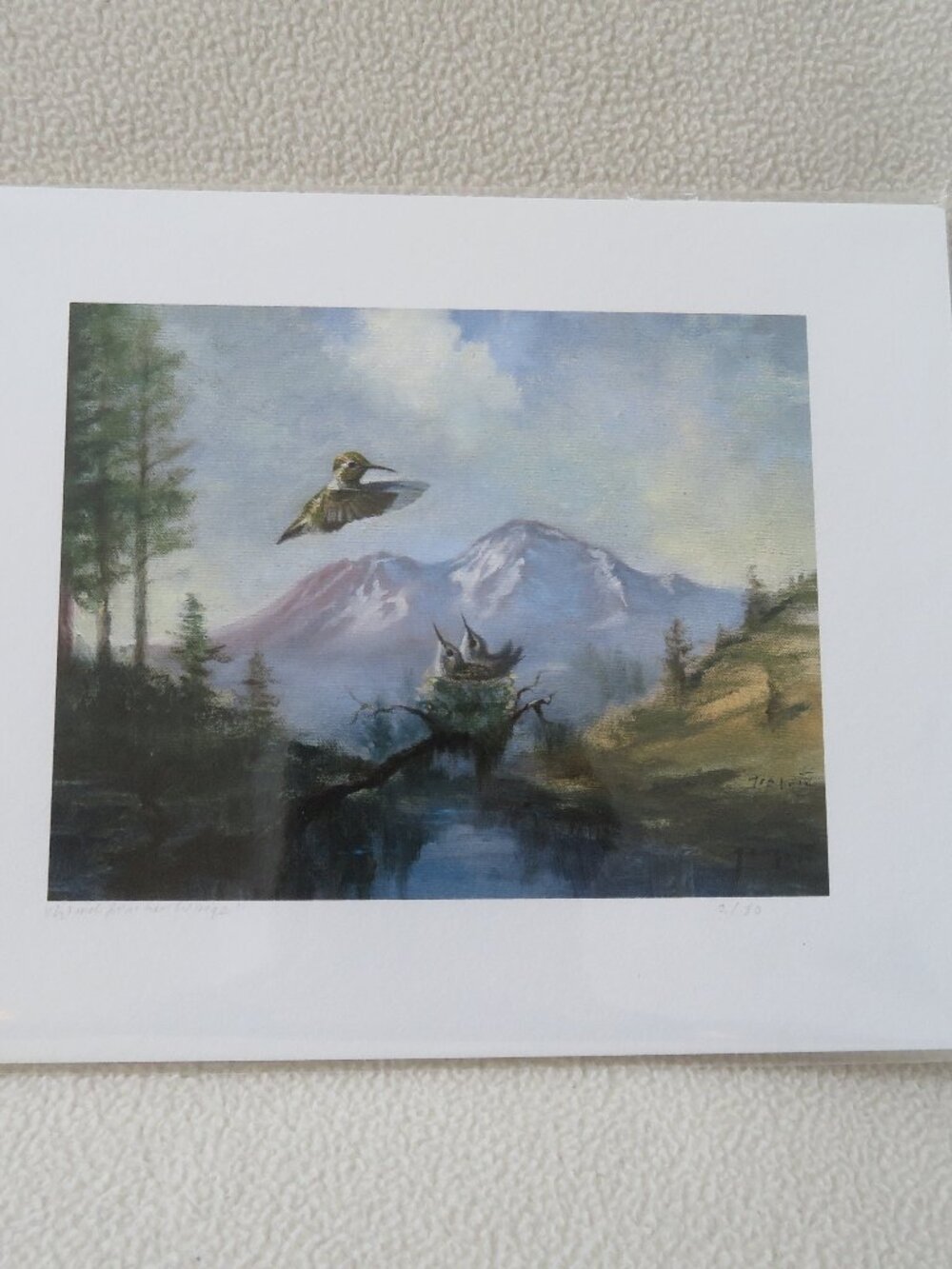 Hummingbird Print - Picture 5 of 5
